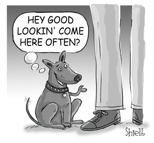 'Hey good lookin' come here often?'
