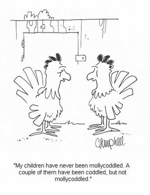 'My children have never been mollycoddled. A couple of them have been coddled, but not mollycoddled.'