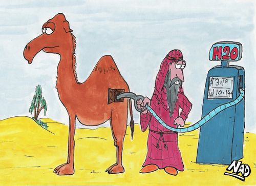 A guy fills up his camel with H2O in the desert.