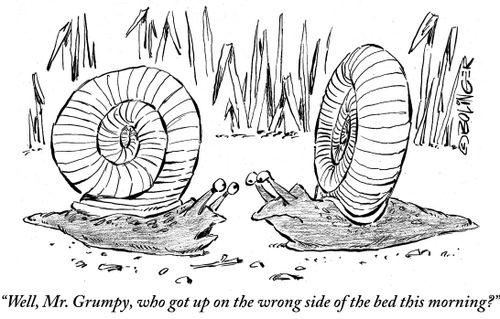 'Well, Mr. Grumpy, who got up on the wrong side of the bed this morning?'