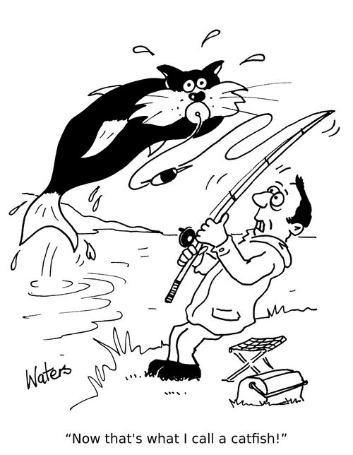 'Now that's what I call a catfish!'