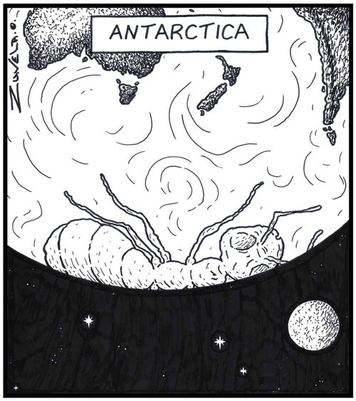 Antarctica 
