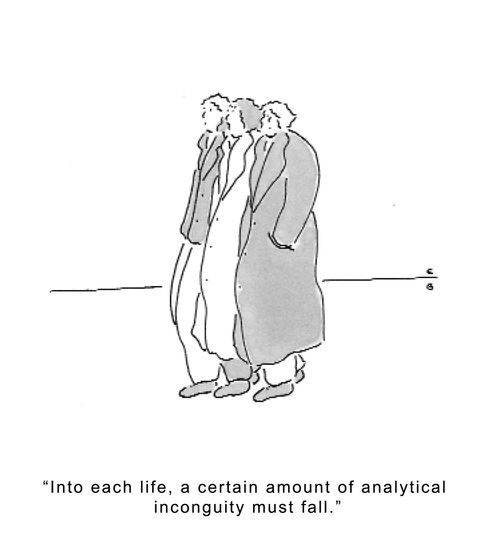 'Into each life, a certain amount of analytical incongruity must fall.'