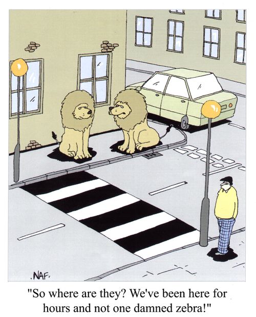 'So where are they? We've been here for hours and not one damned zebra!'