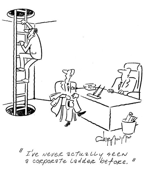 'I've never actually seen a corporate ladder before.'