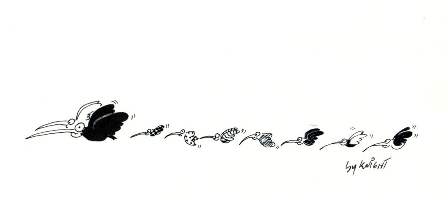 Birds family