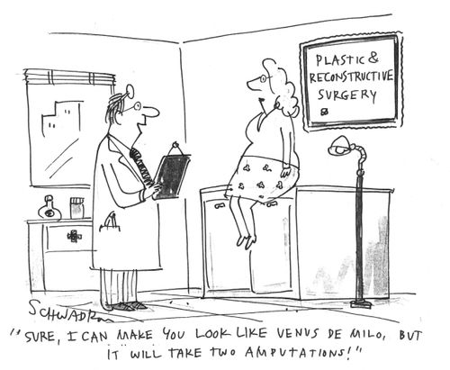 'Sure, I can make you look like Venus de Milo, but it will take two amputations!'