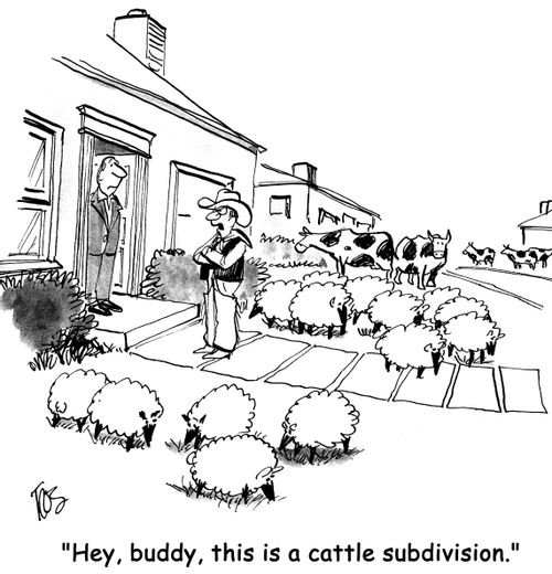 'Hey, buddy, this is a cattle subdivision.'
