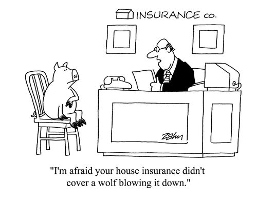 'I'm afraid your house insurance didn't cover a wolf blowing it down.'