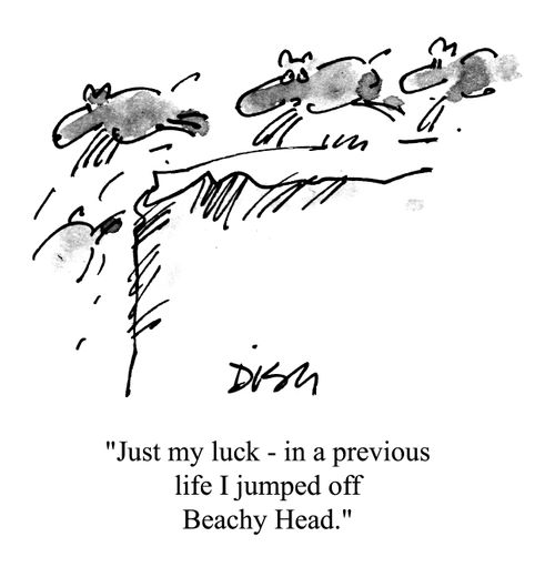 'Just my luck - in a previous life I jumped off Beachy Head.'