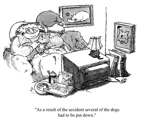 'As a result of the accident several of the dogs had to be put down.'