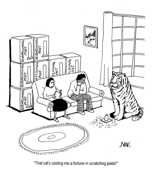'That cat's costing me a fortune in scratching posts!'