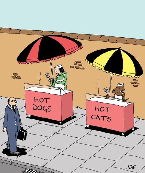 Hot Dogs/Hot Cats.