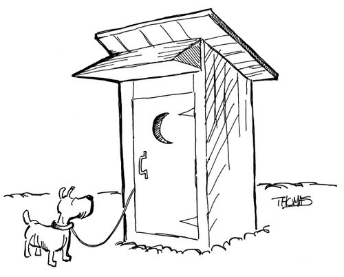 Dog on leash waiting outside an outhouse. (His owner is inside)
