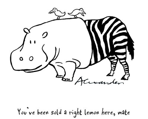 "You've been sold a right lemon here, mate."