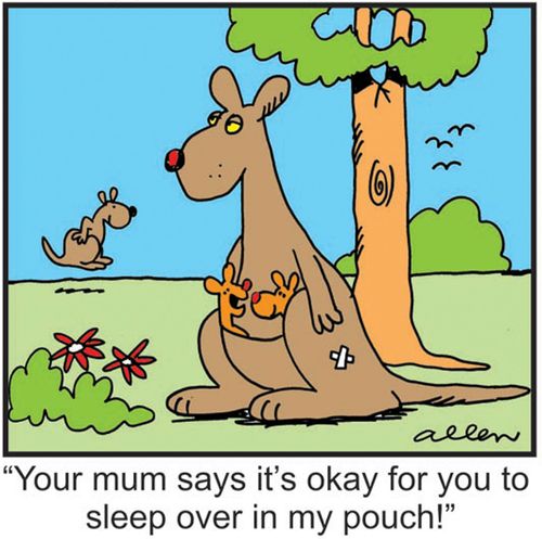 'Your mum says it's okay for you to sleep over in my pouch.'