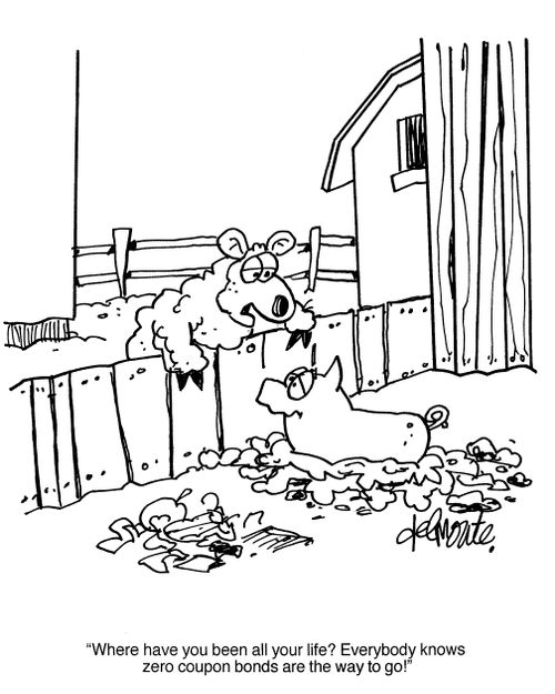 'Where have you been all your life? Everybody knows that zero coupon bonds are the way to go!'