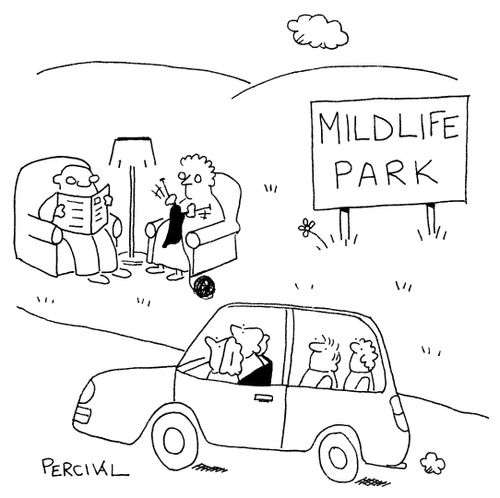 Car travelling through a 'Midlife Park' with people knitting and reading the paper.