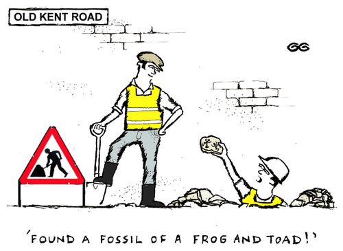 'Found a fossil of a frog and toad!' 