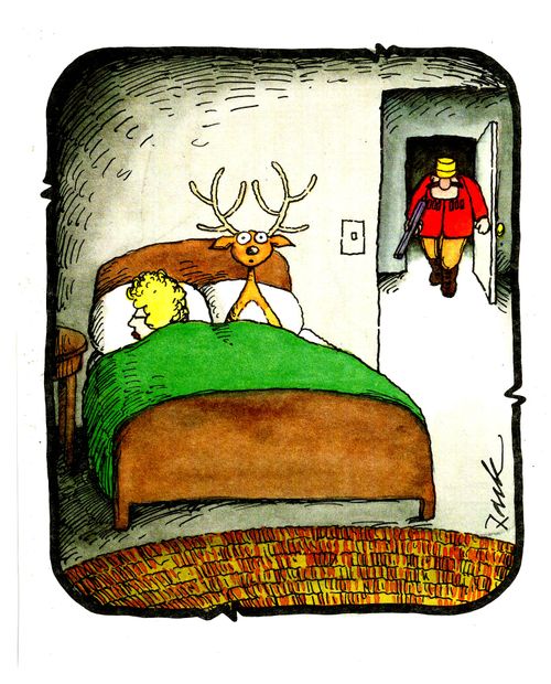 Deer sits up in alarm in bed as hunter comes.