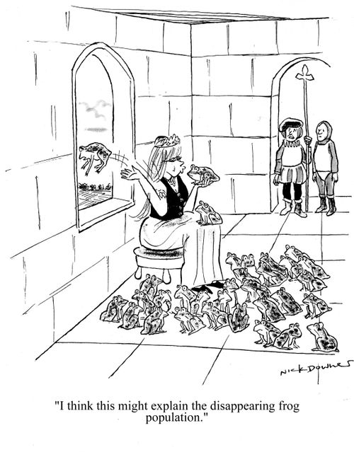 'I think this might explain the disappearing frog population.'