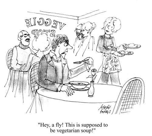 'Hey, a fly! This is supposed to be vegetarian soup.'