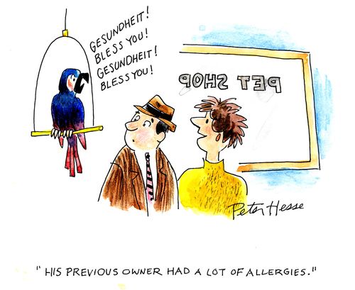 'His previous owner had a lot of allergies.'