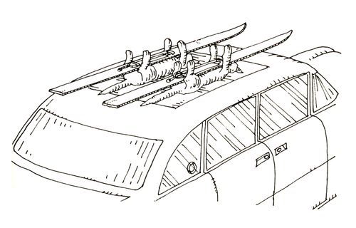 101 uses for a dead cat: ski roof racks.