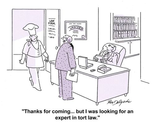 'Thanks for coming... but I was looking for an expert in tort law.'