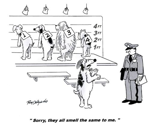 'Sorry, they all smell the same to me.'