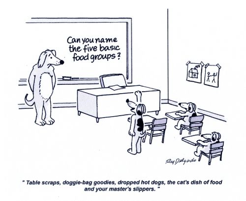 'Table scraps, doggie-bag goodies, dropped hot dogs, the cat's dish of food and your master's slippers.'