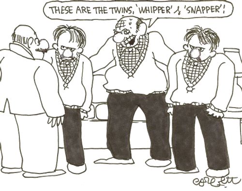 'These are the twins, 'Whipper' & 'Snapper,'!'