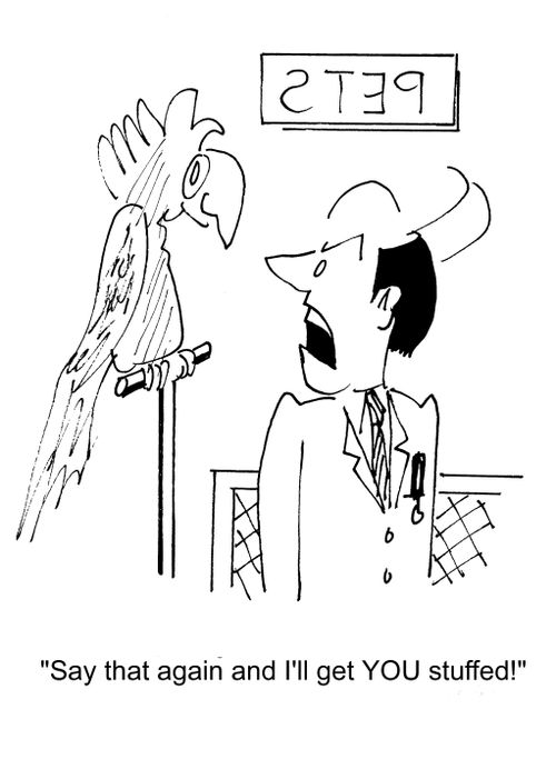 Say that again and I'll get you stuffed!