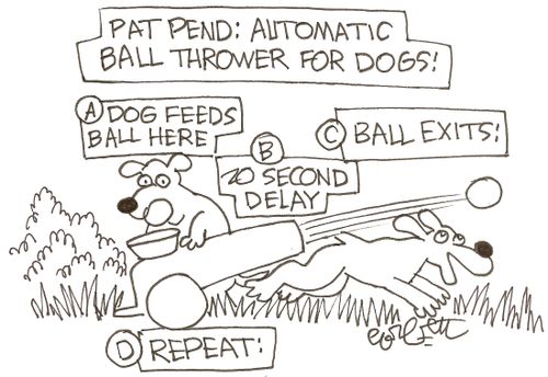 Pat Pend: Automatic Ball Thrower for Dogs!  A...Dog feeds ball here.  B...20 second delay.   C...Ball exits...D...Repeat!