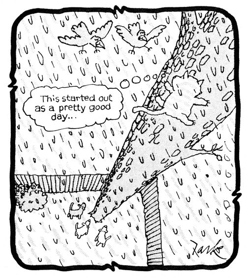 'This started out as a pretty good day...'