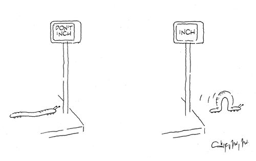 pedestrian crossing for caterpillars
