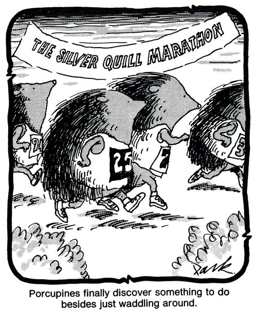 Porcupines finally discover something to do besides just waddling around.
