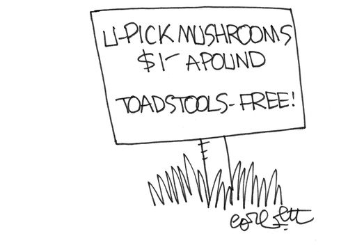U-pick mushrooms, $1 a pound ...toadstools free!