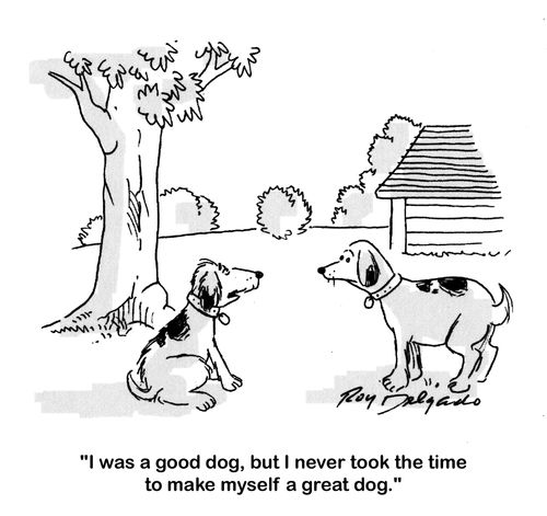 'I was a good dog, but I never took the time to make myself a great dog.'