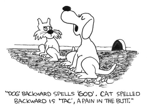Dog spelled backward is GOD, cat is TAC, a pain in the butt.