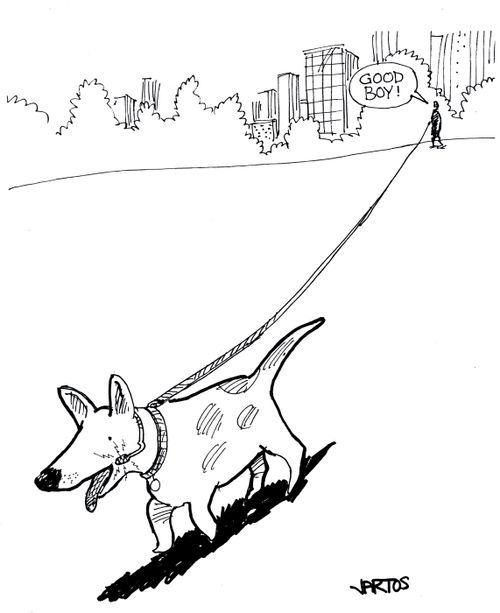Owner talking to dog through a headset.