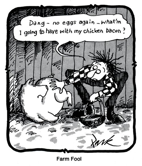 'Farm Fool'