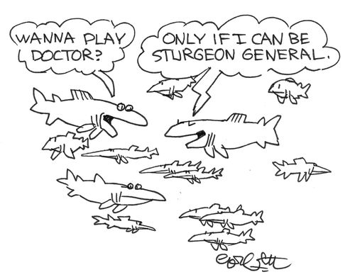 Fish: 'Wanna play doctor?'    'Only if I can be sturgeon general.'