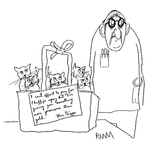 I can't afford to pay for Fluffy's spay...