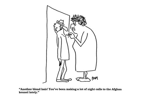 'Another blond hair!  You've been making a lot of night calls lately...'