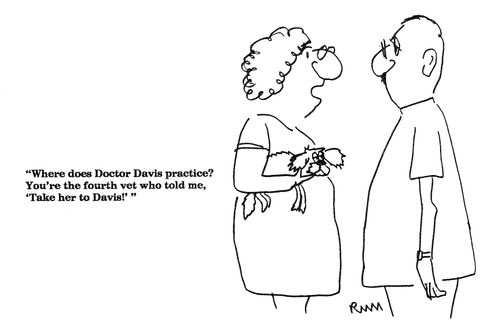 'Where does Doctor Davis practice?...'