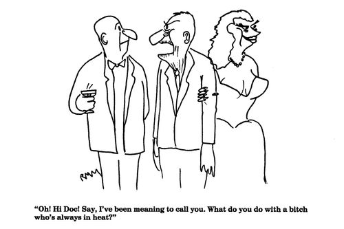 'Oh!  Hi Doc!  Say, I've been meaning to call you. What do you do with a bitch who's always in heat?"