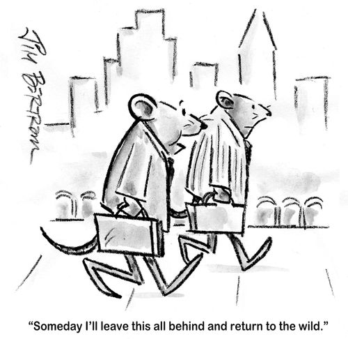"Someday I'll leave this all behind and return to the wild."