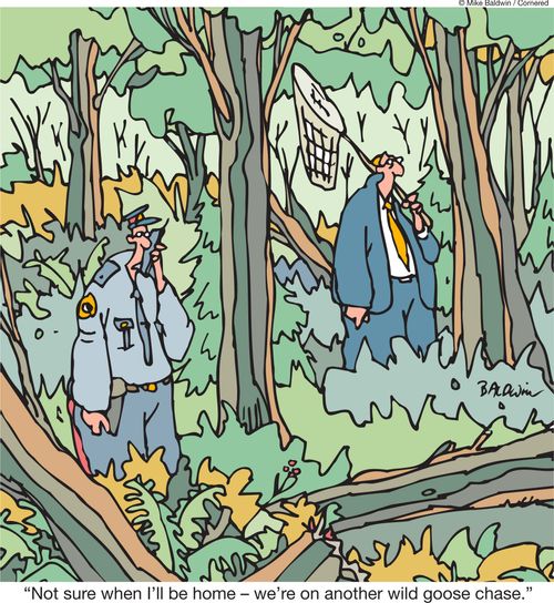 'Not sure when I'll be home -w we're on another wild goose chase.'
