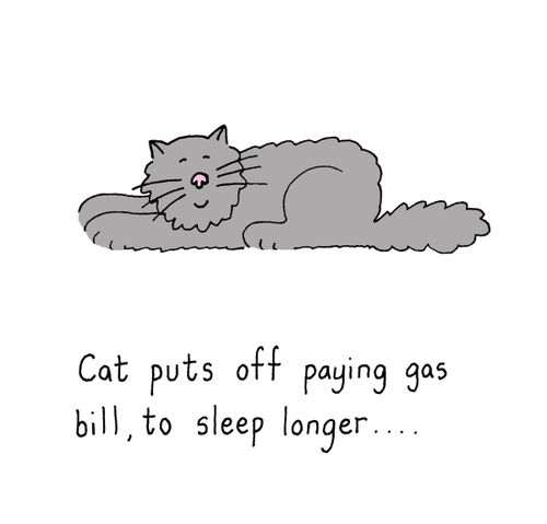 Cat puts off paying gas bill, to sleep longer...
